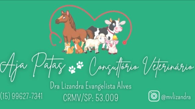 aja-patas-clinica-veterinario