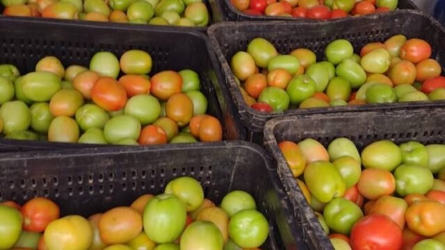 alimentos