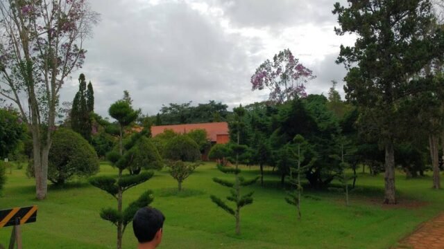 associacao-cultural-e-esportiva-de-colonia-pinhal