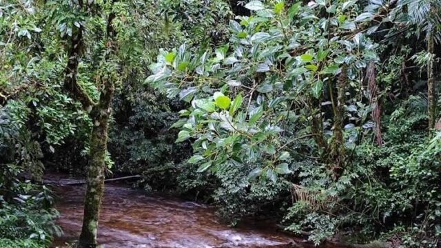 -base-turvinho–parque-estadual-carlos-botelho