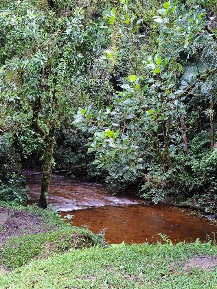 -base-turvinho–parque-estadual-carlos-botelho