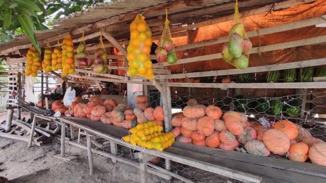 borracharia-siqueira
