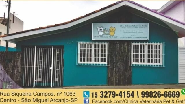 clinica-veterinaria-pet–gato
