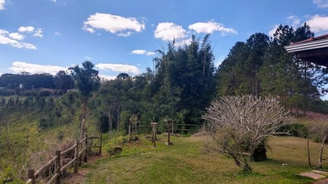 instituto-manaca