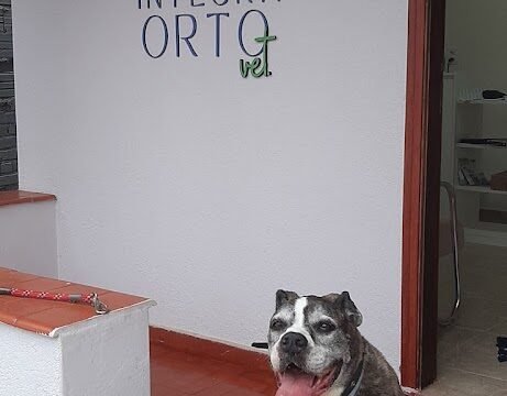 integraorto-vet—ortopedia-e-reabilitacao-animal