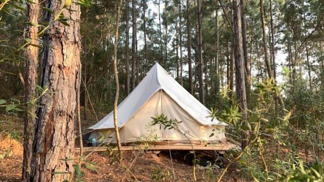 reserva-ecologica-refugio-das-araucarias