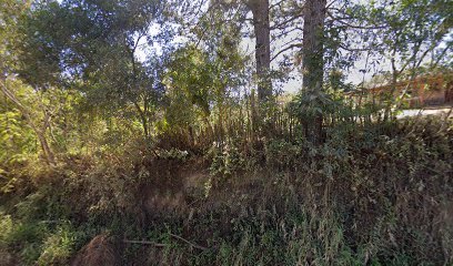 serraria-hensel