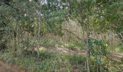 sitio-vista-verde