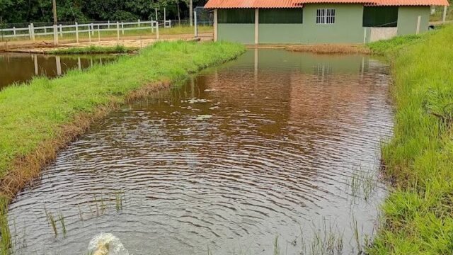 vale-do-peixe